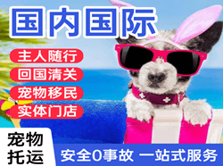 大武机场托运国际宠物托运 【国